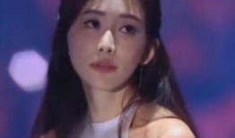 爆料娱乐圈的网红是谁啊,揭秘幕后真相